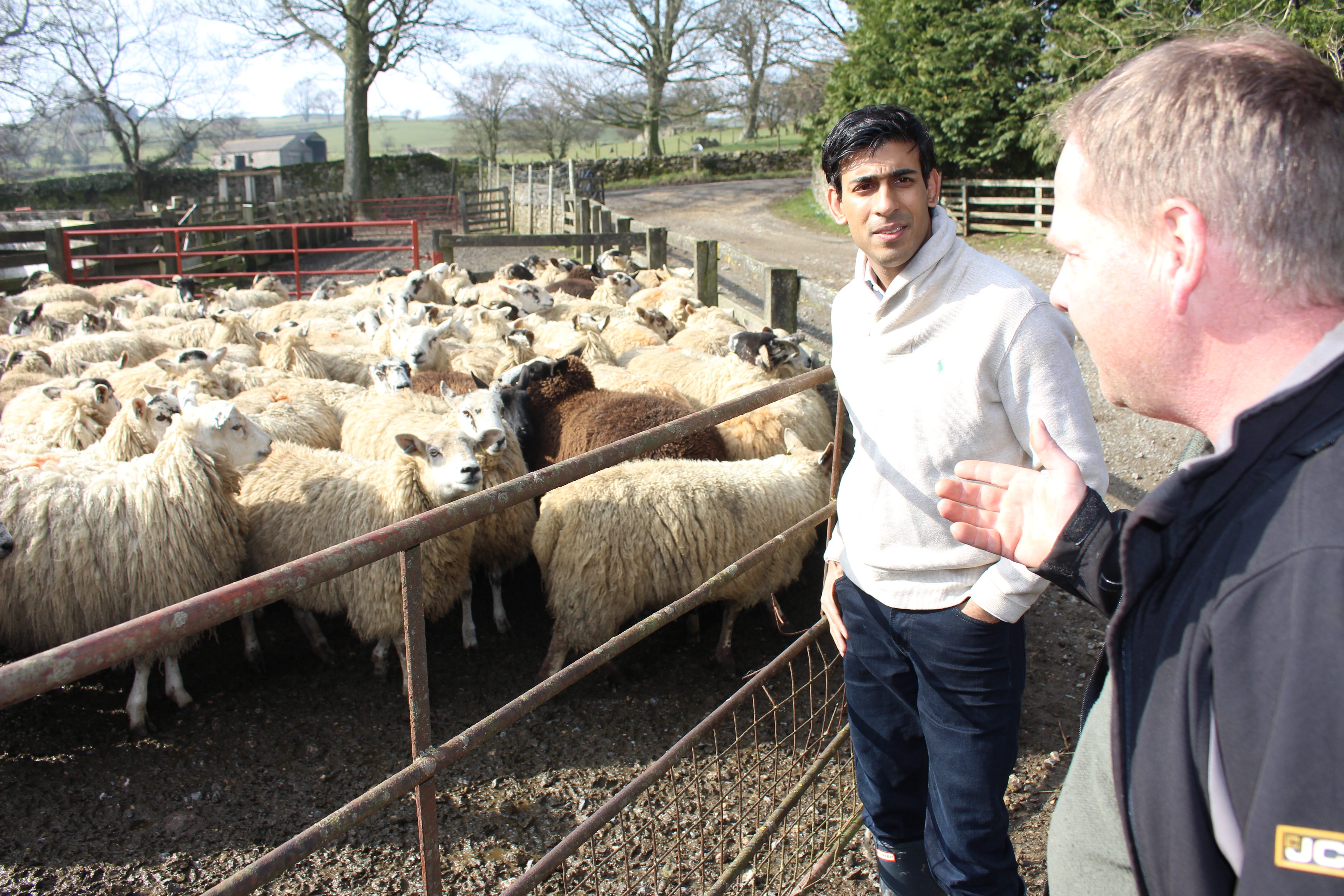 Understanding sheep farmers' difficulties | Rishi Sunak