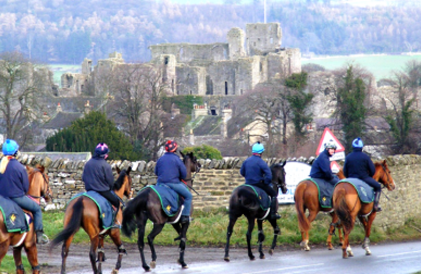 racehorses at Middleham