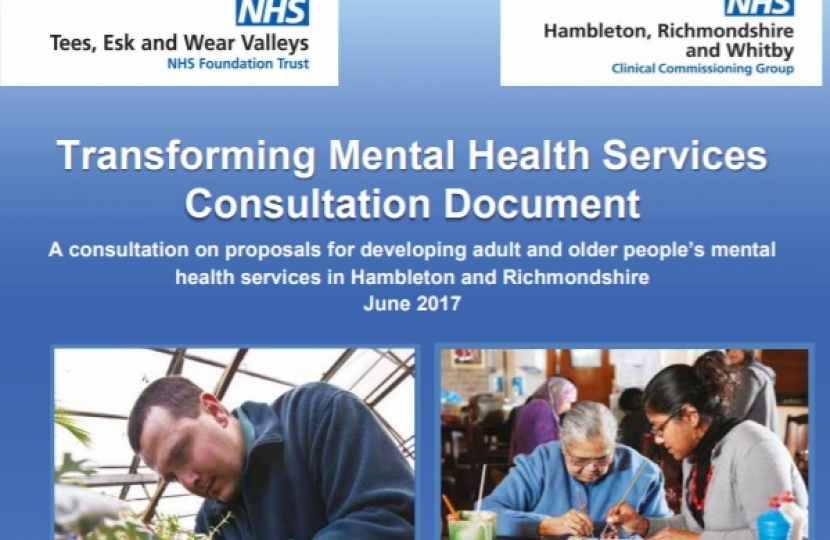 Mental health consultation document