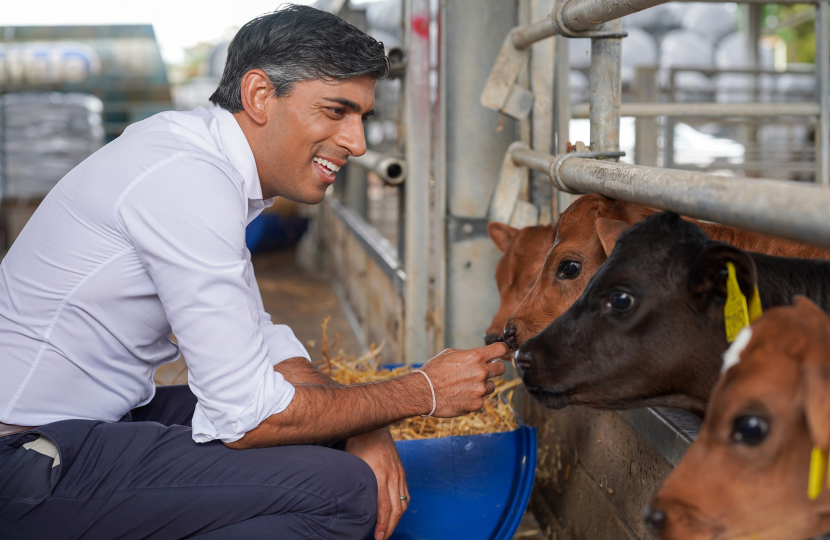 Rishi Sunak at Crathorne Farms