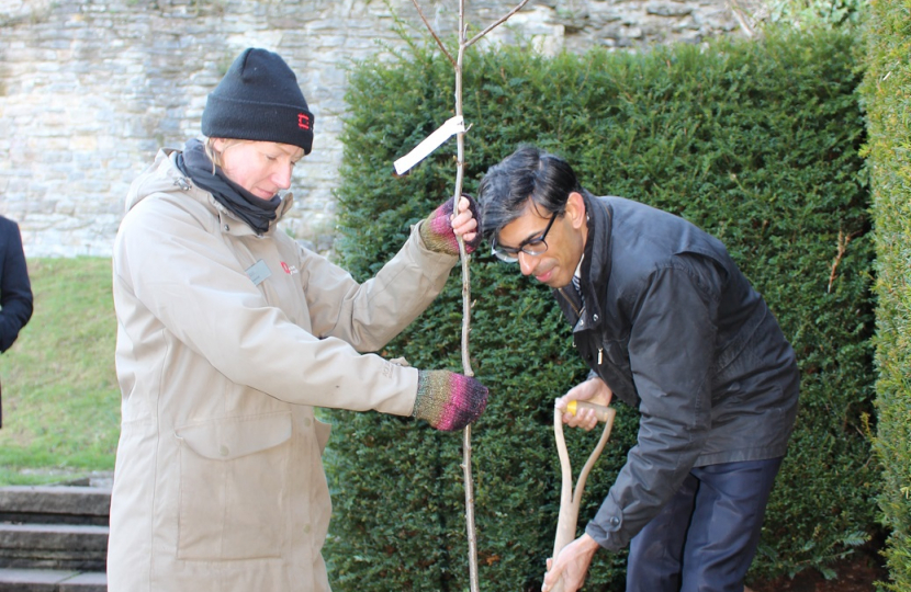 Rishi Sunak at Richmond Castle planting a tree for the Queen's Green Canopy