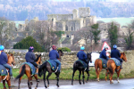 racehorses at Middleham