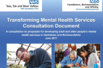 Mental health consultation document