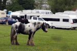 Traveller sites