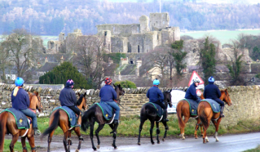 racehorses at Middleham