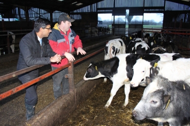 Rishi Sunak at Lowfields Farm Brompton