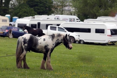 Traveller sites