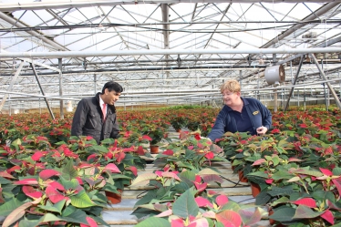 Rishi Sunak at Ravensworth Nurseries